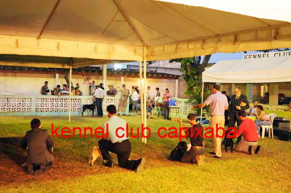 Clique sobre a foto para fechar